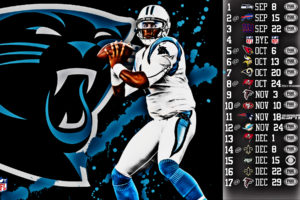 2013, Carolina, Panthers, Football, Nfl