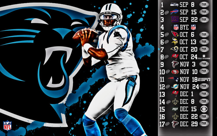 2013, Carolina, Panthers, Football, Nfl HD Wallpaper Desktop Background
