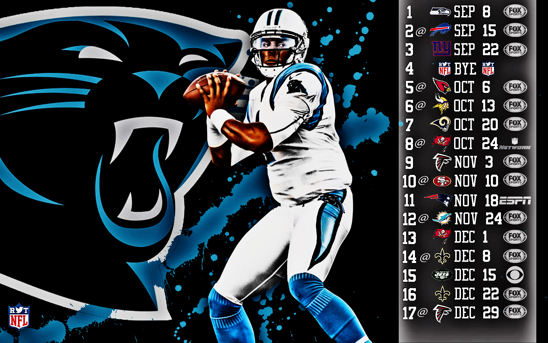 2013, Carolina, Panthers, Football, Nfl Wallpaper