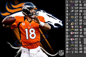 2013, Denver, Broncos, Football, Nfl