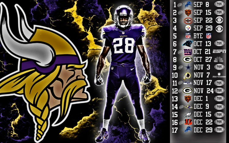 2013, Minnesota, Vikings, Football, Nfl HD Wallpaper Desktop Background