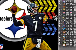 2013, Pittsburgh, Steelers, Football, Nfl