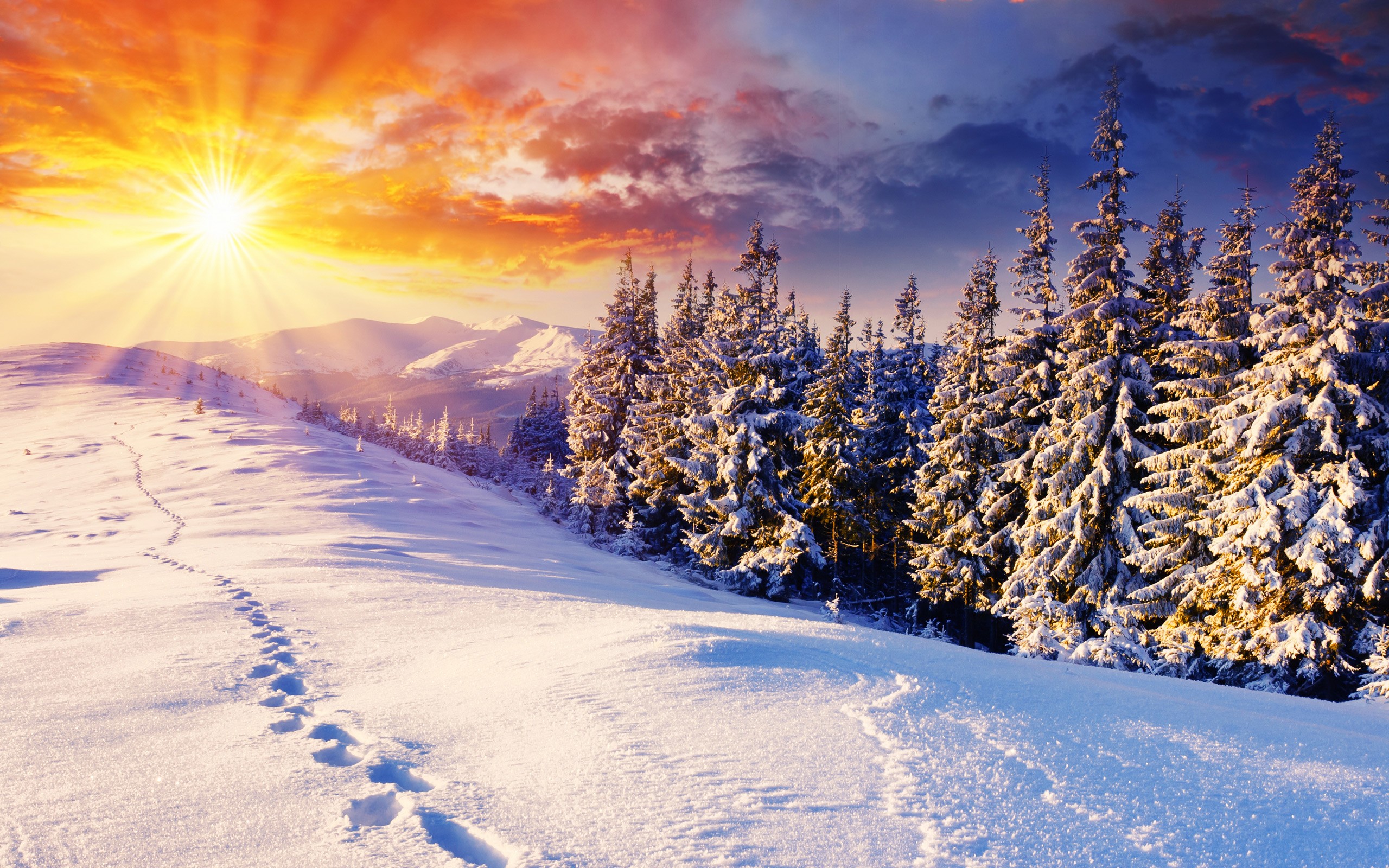 sunset, Mountains, Clouds, Landscapes, Nature, Winter, Snow, Trees, Skyline, Hills, Sunlight, Footprint Wallpaper