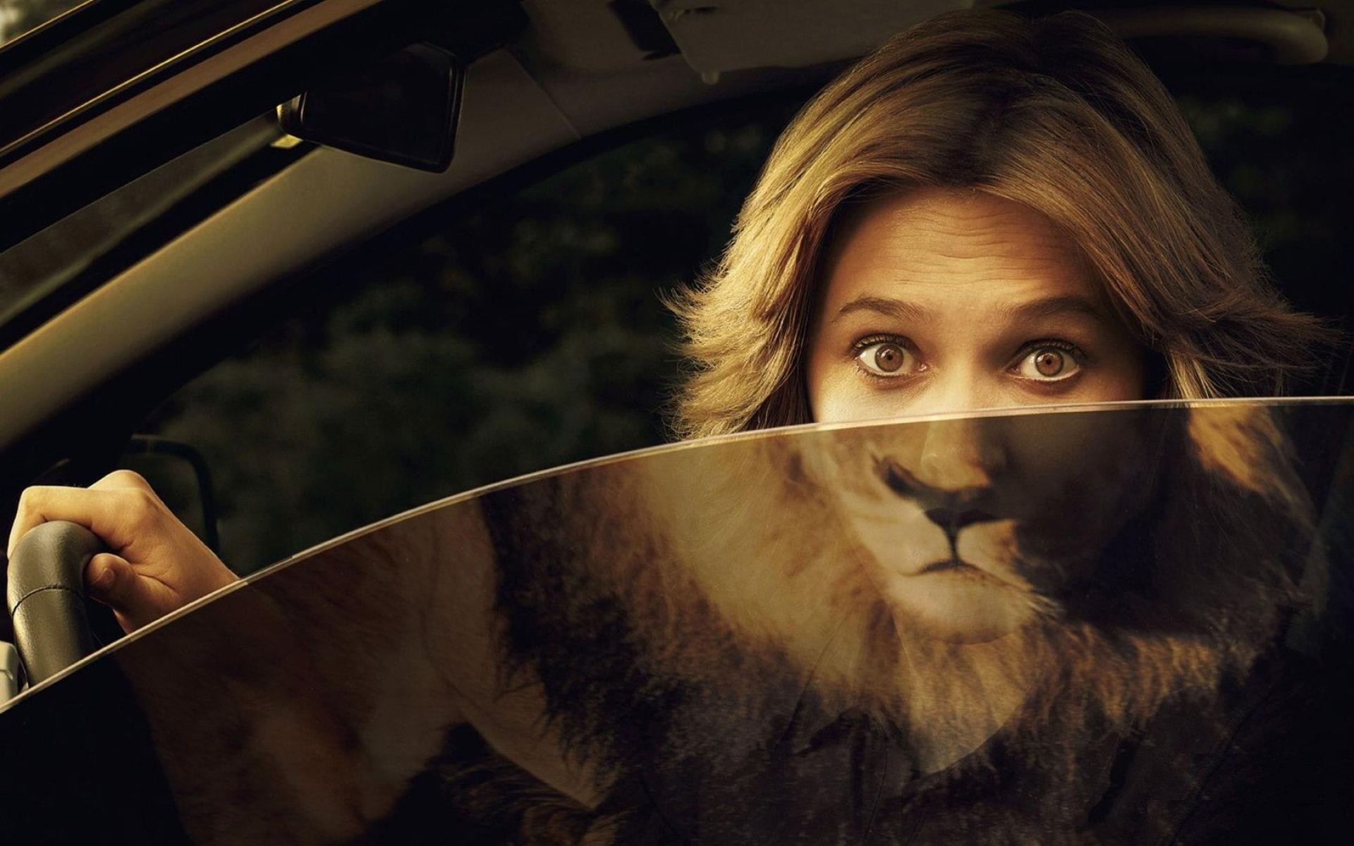 women, Mirrors, Funny, Lions, Reflections Wallpaper
