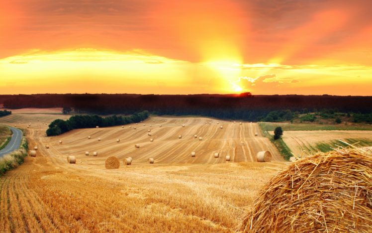 field, Sun, Sunset, Hay, Haystack, Straw, Road, Trees, Nature HD Wallpaper Desktop Background