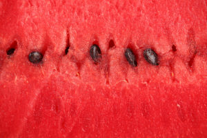 watermelon, Pulp, Seeds, Bubka, Berry, Red