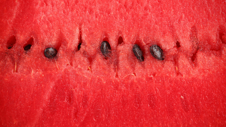 watermelon, Pulp, Seeds, Bubka, Berry, Red HD Wallpaper Desktop Background