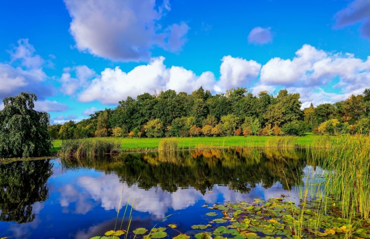 finland, Pond, Wood, Reeds, Clouds, Reflection, Autumn, Fall HD Wallpaper Desktop Background