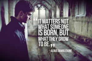 quotes, Harry, Potter, Philosophy, Daniel, Radcliffe, Albus, Dumbledore