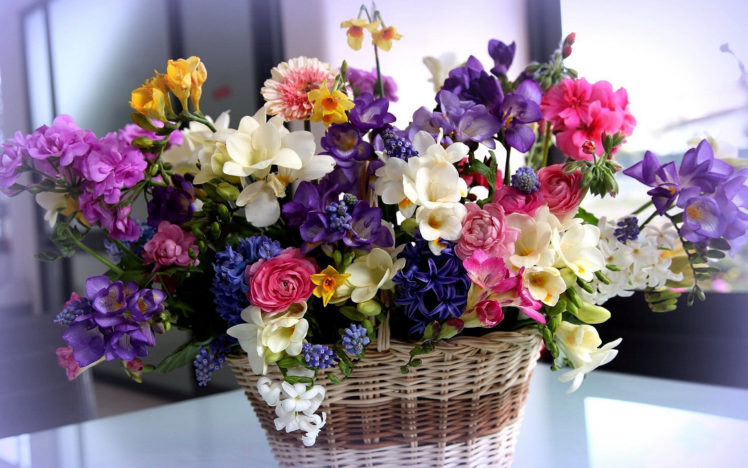 flowers, Hand, Basket HD Wallpaper Desktop Background