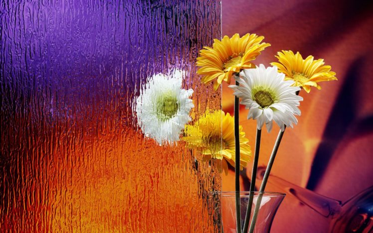 flowers, Flowerpot, Frosted, Glass HD Wallpaper Desktop Background