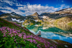 austria, Mountains, Lake, Flowers, Landscape, Reflection