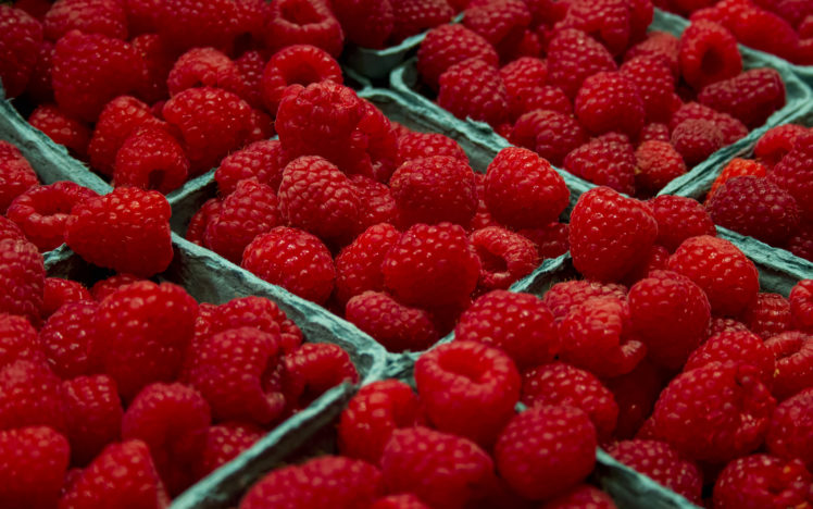 berries, Raspberries, Close up HD Wallpaper Desktop Background