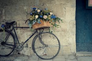 roses, Flowers, Baskets, Boxes, Bicycle, Mood