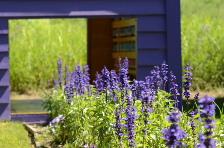 summer, Garden, Purple, Flowers, Grass, Motion, Blur, Bokeh HD Wallpaper Desktop Background