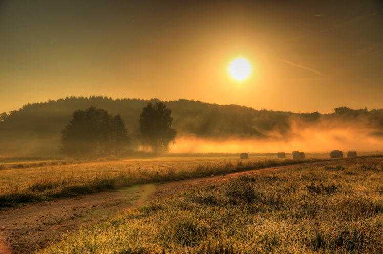 field, Germany, Fog, Sun, Nature, Sunrise HD Wallpaper Desktop Background