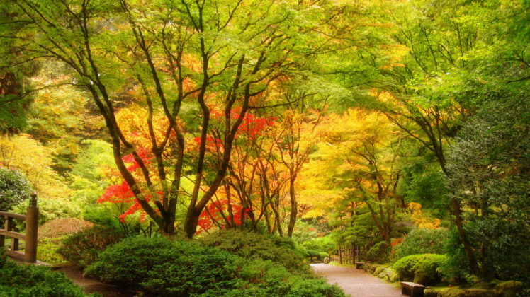 usa, Garden, Portland, Japanese, Trees, Nature, Autumn, Fall HD Wallpaper Desktop Background