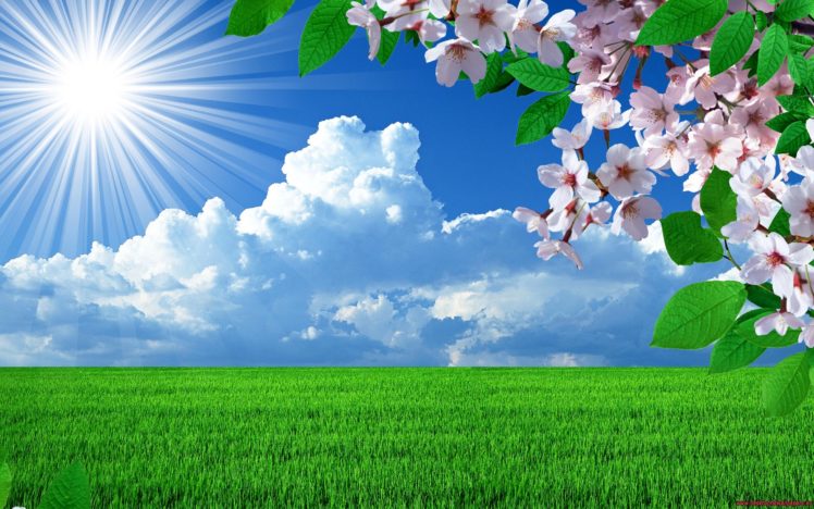 nature, Spring, Flowers, Landscapes, Trees, Sky, Landscape HD Wallpaper Desktop Background