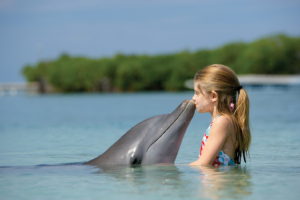 chiks, And, Water, Girl, Dolphin