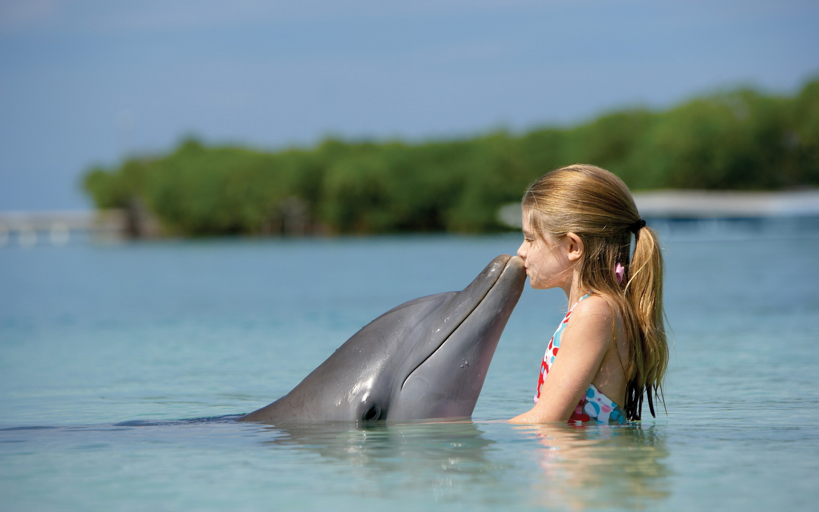 chiks, And, Water, Girl, Dolphin Wallpaper