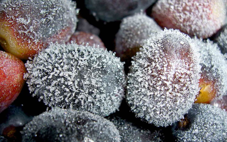 frozen, Fruits HD Wallpaper Desktop Background