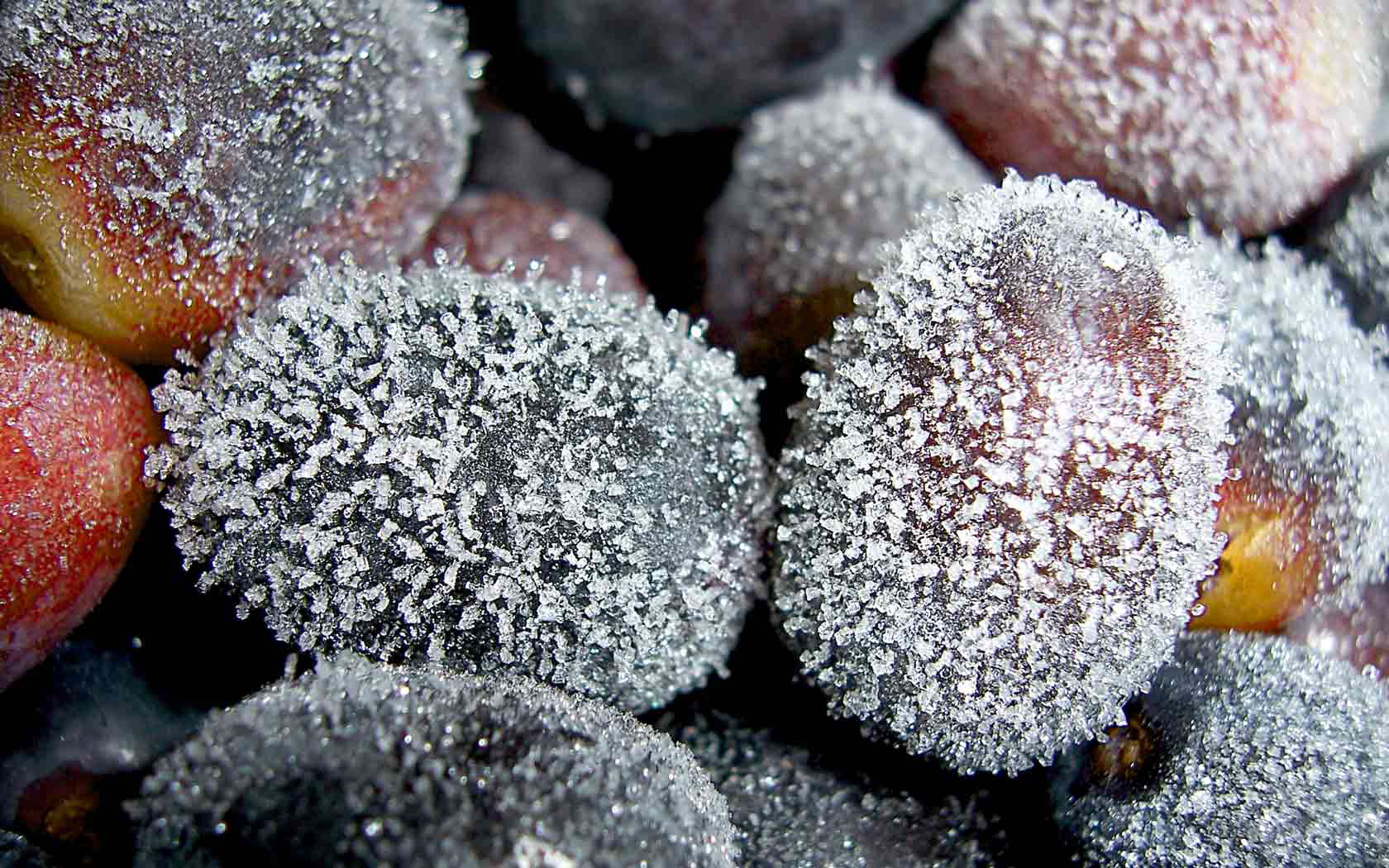 frozen, Fruits Wallpaper