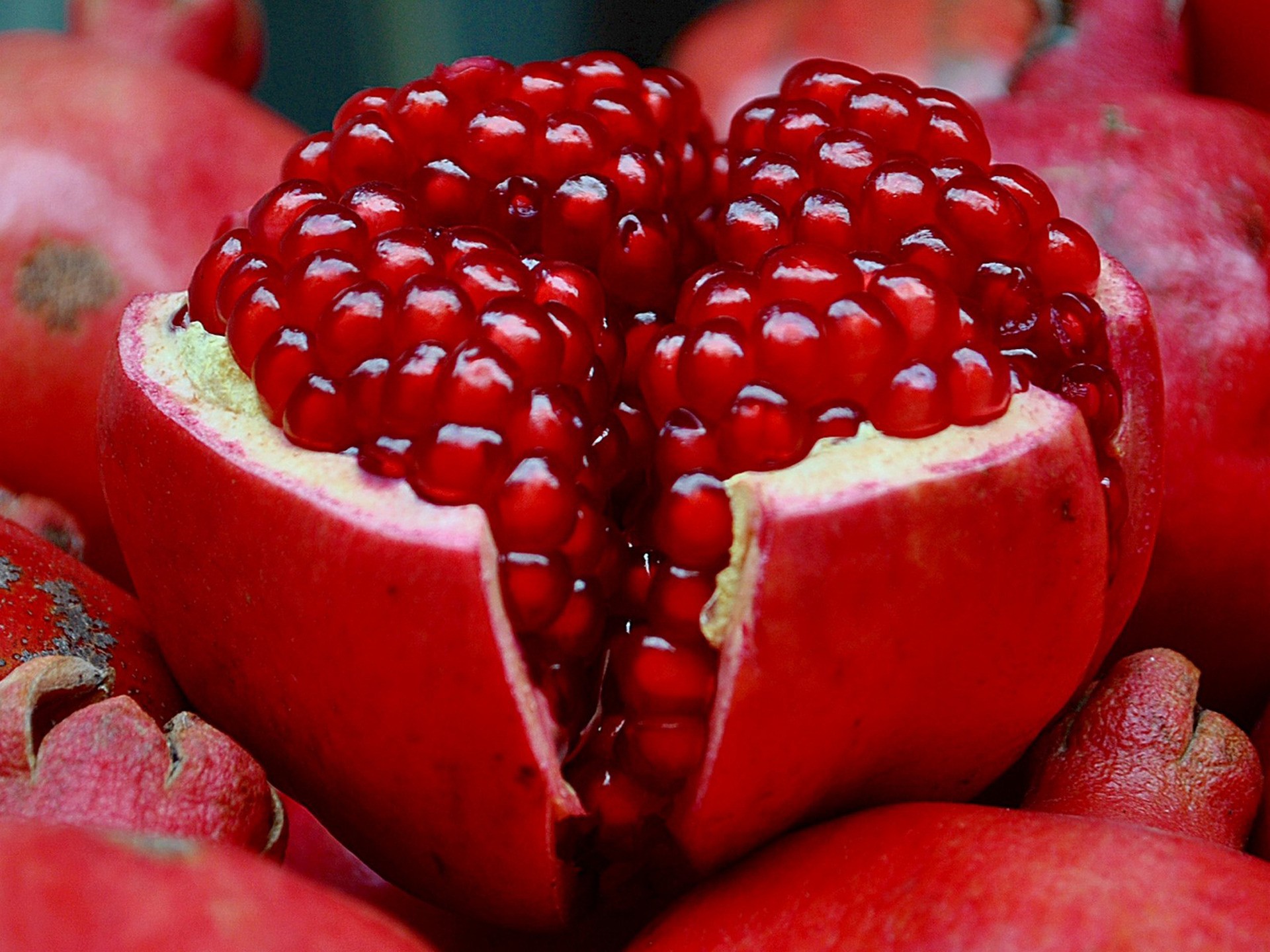 fruits, Pomegranate Wallpaper