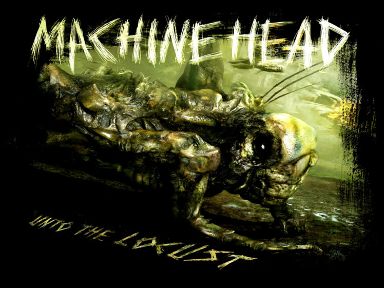 machine, Head, Thrash, Metal, Heavy HD Wallpaper Desktop Background
