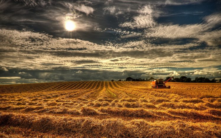 northern, Ireland, England, Field, Grain, Harvest HD Wallpaper Desktop Background