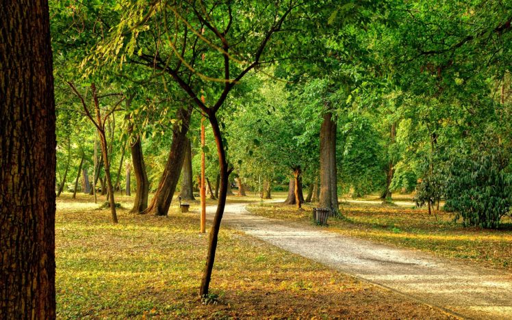 park, Trees, Road, Landscape HD Wallpaper Desktop Background