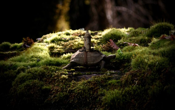 tower, Turtles, Moss, Tortoise HD Wallpaper Desktop Background