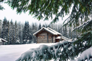 snow, Winter, House, Pine, Needles, Spruce, Trees