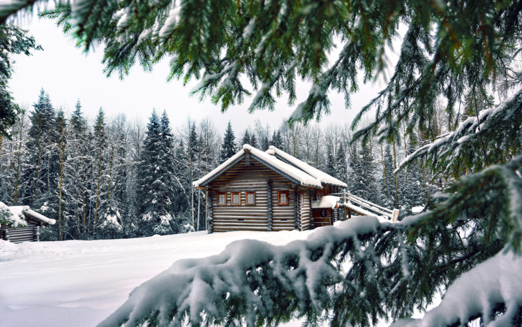snow, Winter, House, Pine, Needles, Spruce, Trees HD Wallpaper Desktop Background