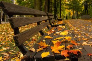 autumn, Wallpaper, Park, Foliage, Leaves, Bench, Bokeh