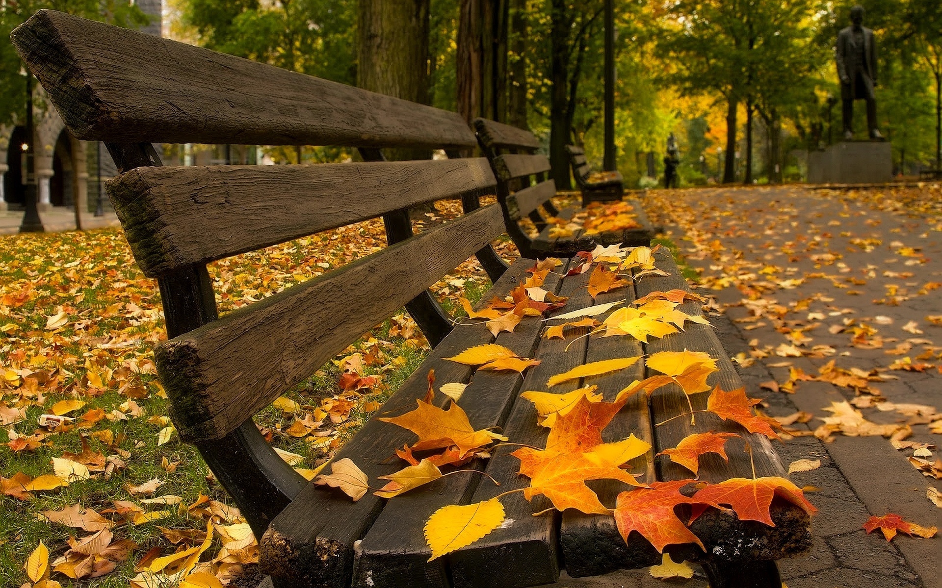 autumn, Wallpaper, Park, Foliage, Leaves, Bench, Bokeh Wallpaper