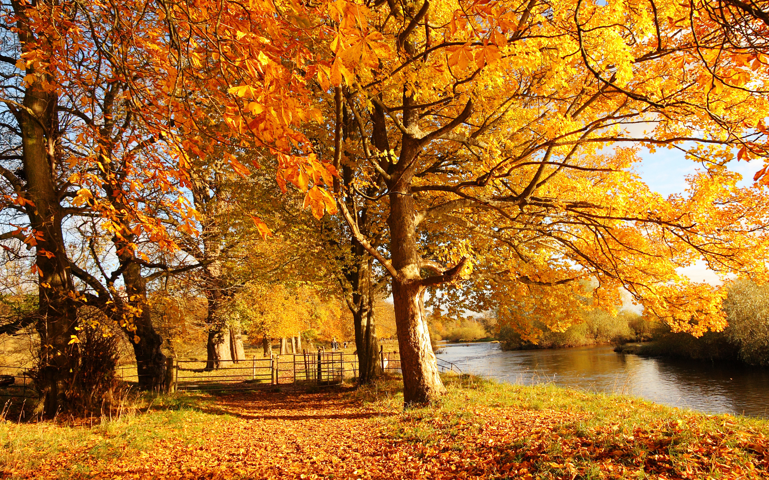 scotland, Autumn, River, Fall Wallpaper