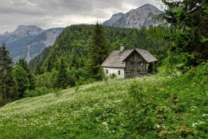 austria, Mountains, Trees, House