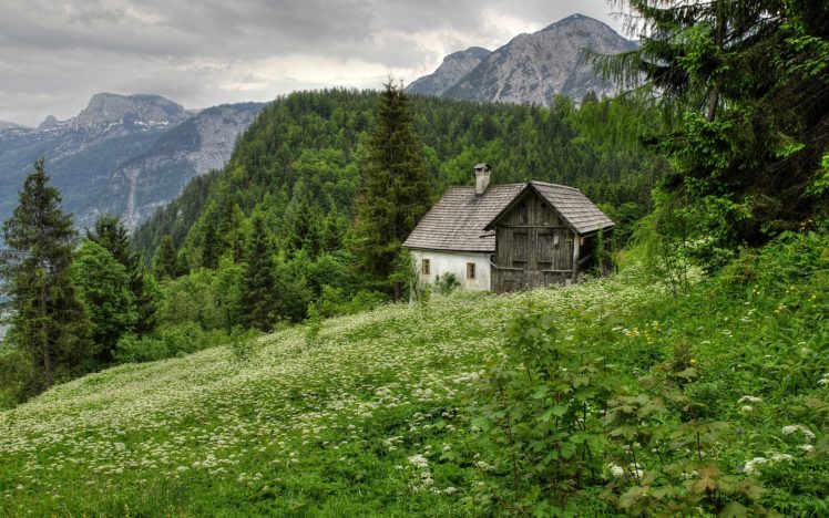 austria, Mountains, Trees, House HD Wallpaper Desktop Background