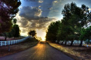 nature, Landscape, Road, Tree, Trees, Leaves, Leaves, Grass, Green, Fence, Gate, Fencing, Track, Sun, Sky, Clouds