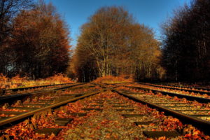 trees, Foliage, Leaves, Railroad, Tracks, Crossing, Road, Autumn