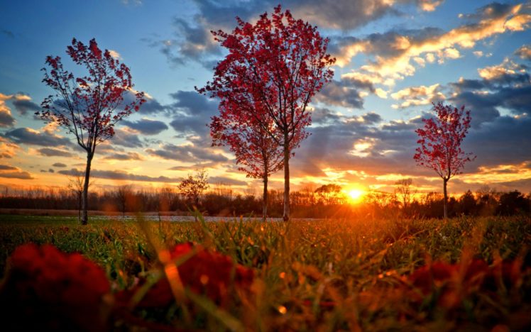 landscape, Sunset, Autumn HD Wallpaper Desktop Background