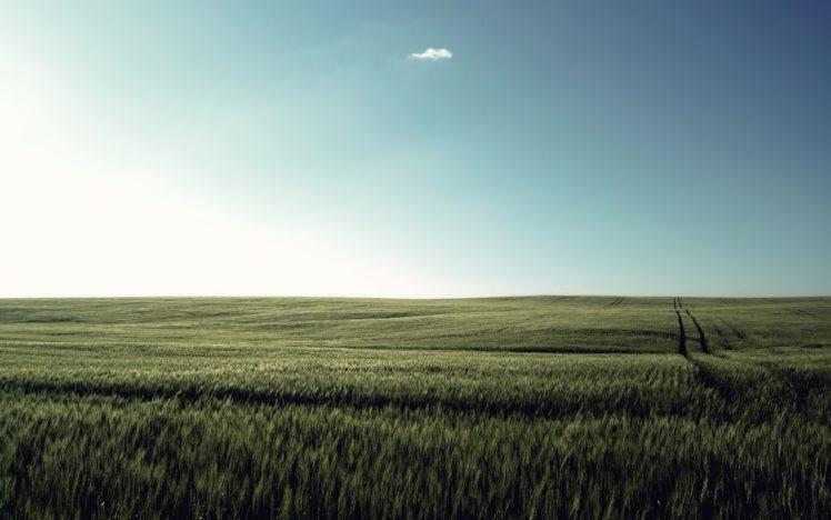 landscapes, Nature, Fields HD Wallpaper Desktop Background