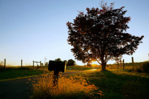 mailbox, Tree, Sunset, Sunlight, Grass, Autumn