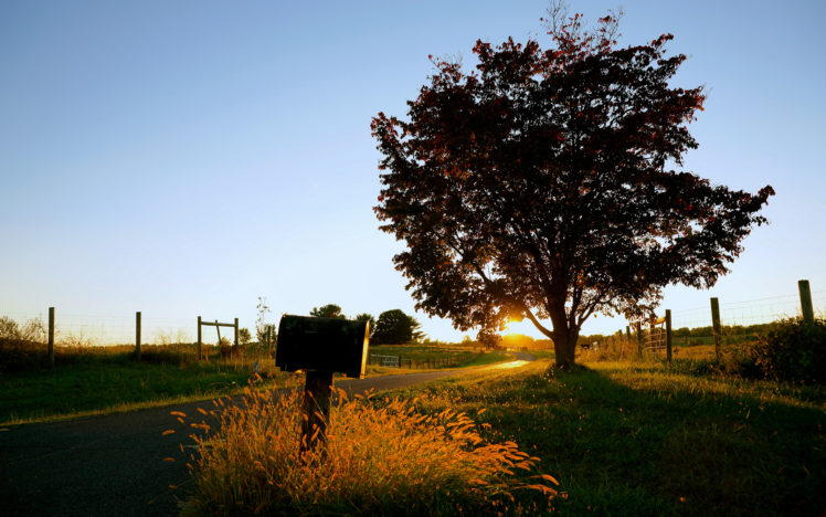 mailbox, Tree, Sunset, Sunlight, Grass, Autumn HD Wallpaper Desktop Background