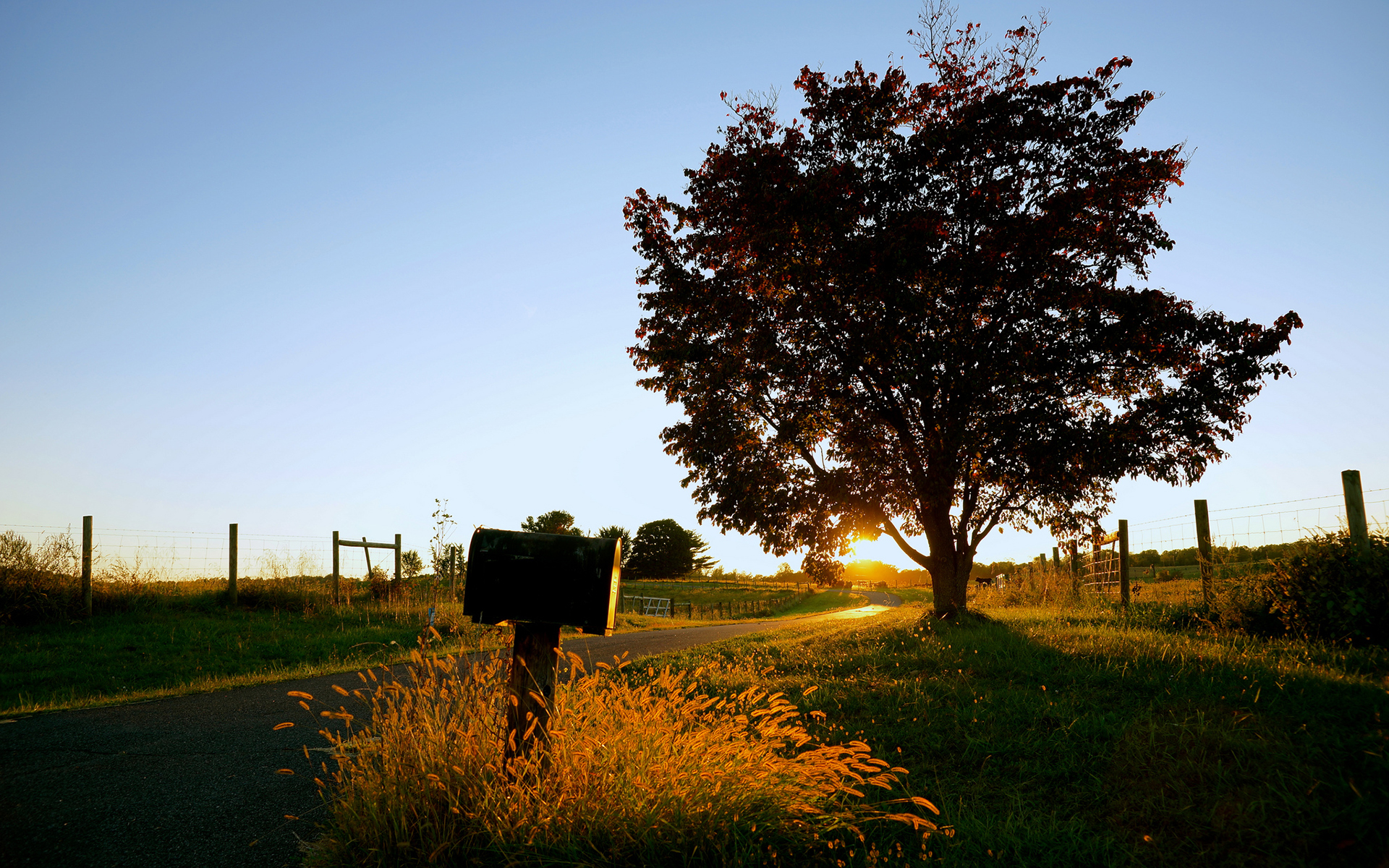 mailbox, Tree, Sunset, Sunlight, Grass, Autumn Wallpaper
