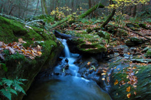 forest, Waterfall, Landscape, Autumn