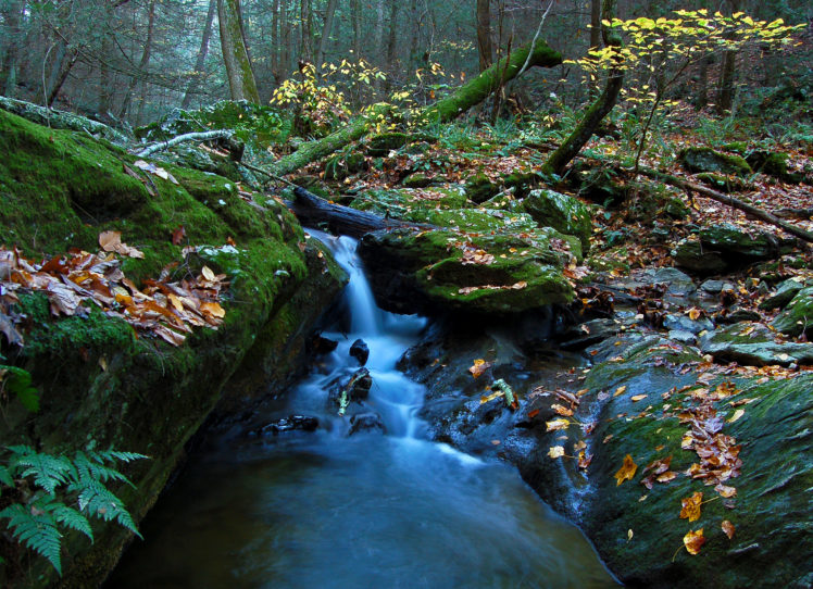 forest, Waterfall, Landscape, Autumn HD Wallpaper Desktop Background