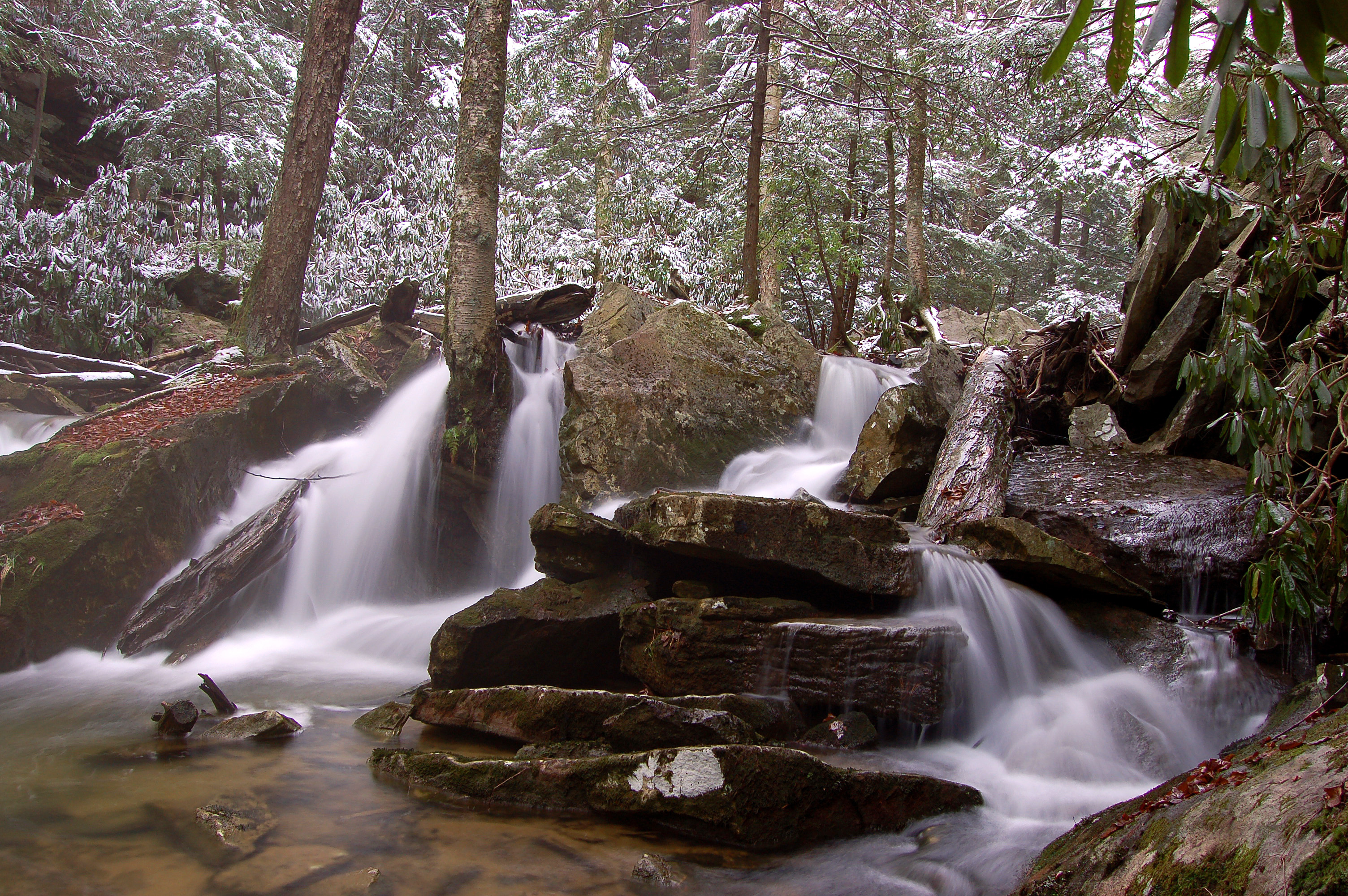 forest, Winter, Rocks, Waterfall, Nature Wallpaper