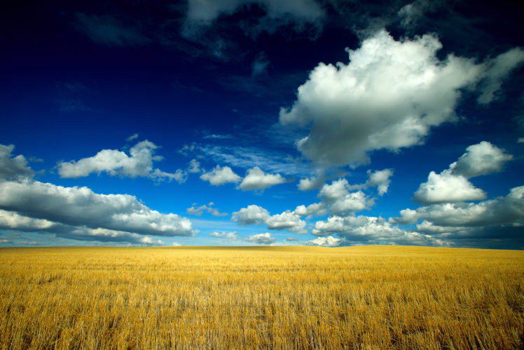 field, Sky, Clouds, Landscape, Grass HD Wallpaper Desktop Background