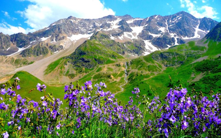 mountains, Alps, Flowers, Landscape HD Wallpaper Desktop Background